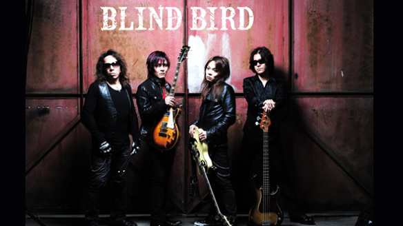 BLINDBIRD_phto002