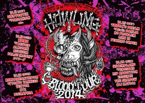 RAPESDRAGONSCREW2014TOUR