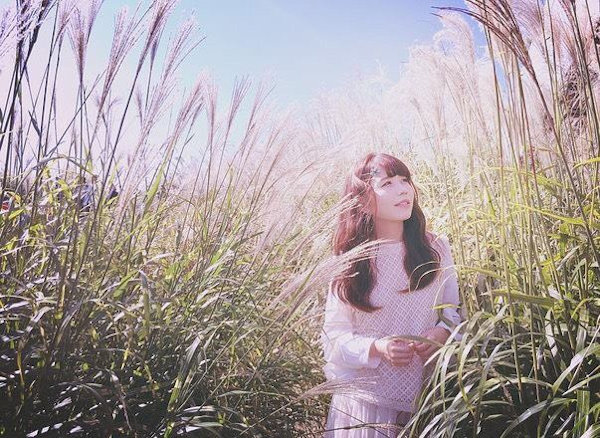 15240245_1255742271135283_230591059_n